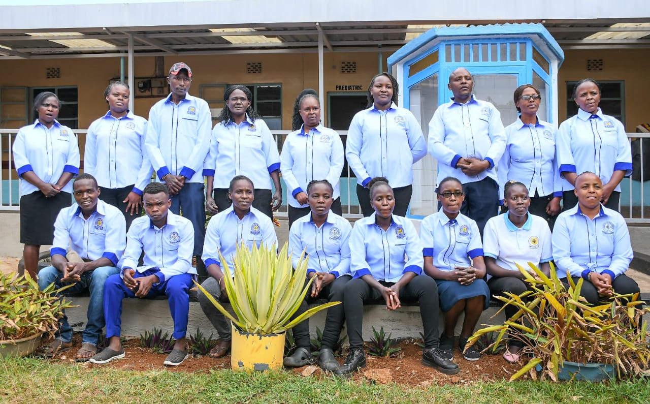 Hospital care team